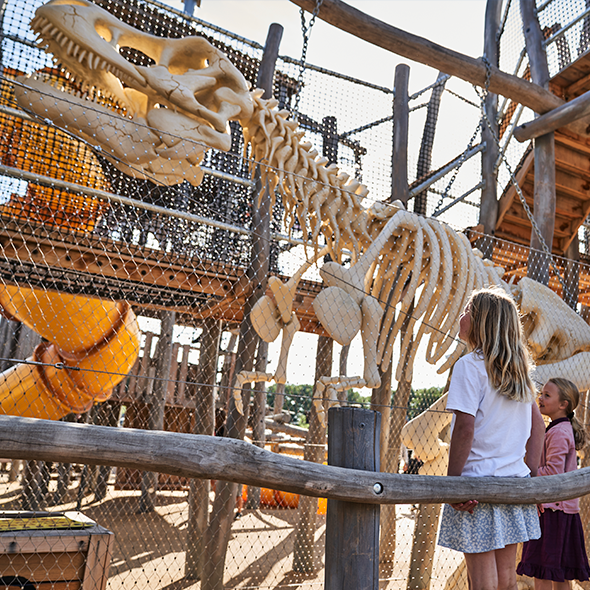 Dinosaurskeletter på legepladsen