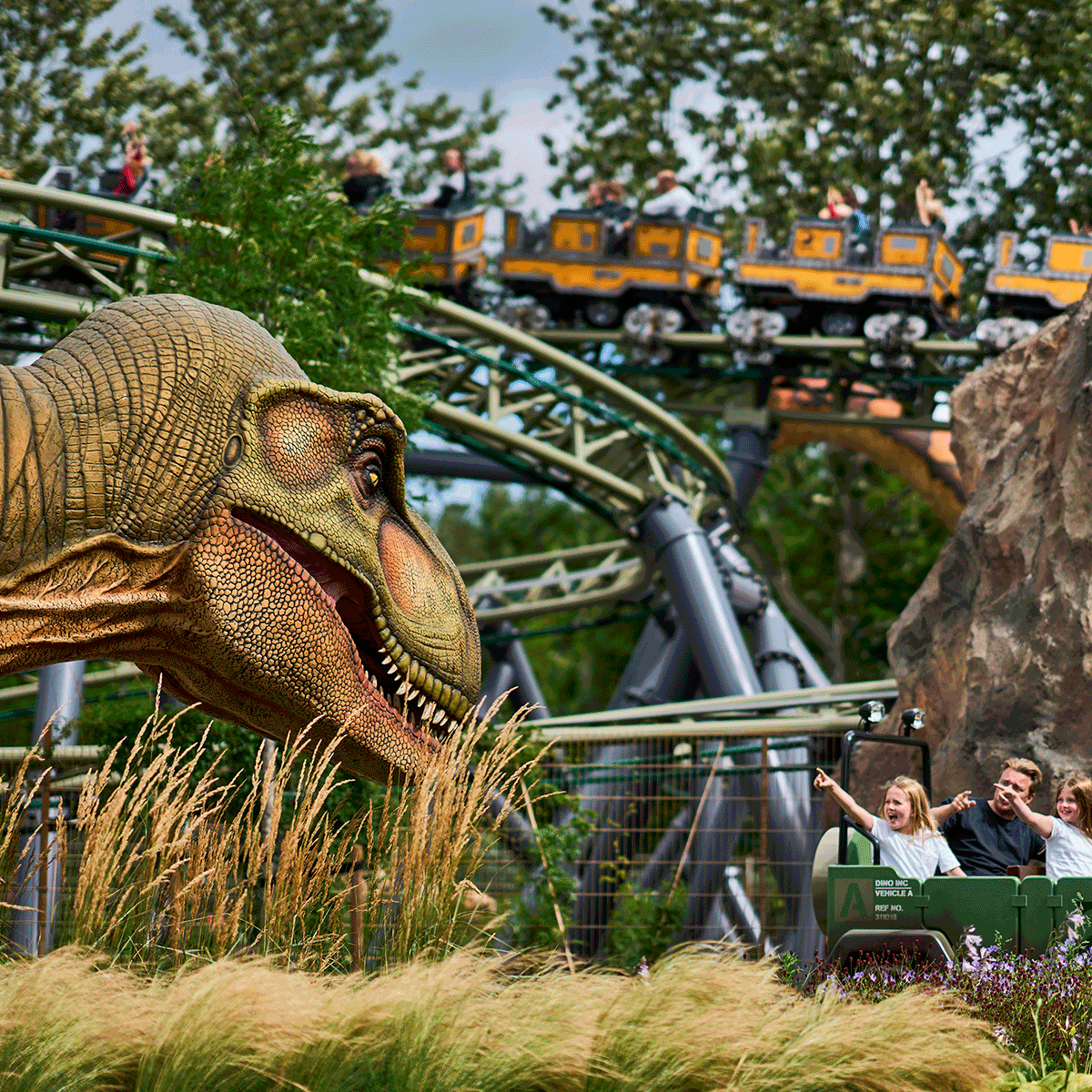 Dinoxpdition 1200X1200