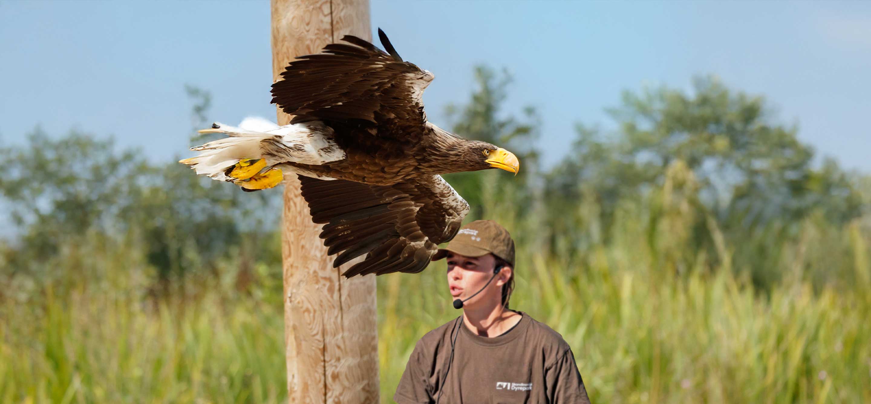 Skandinaviskdyrepark Havørn