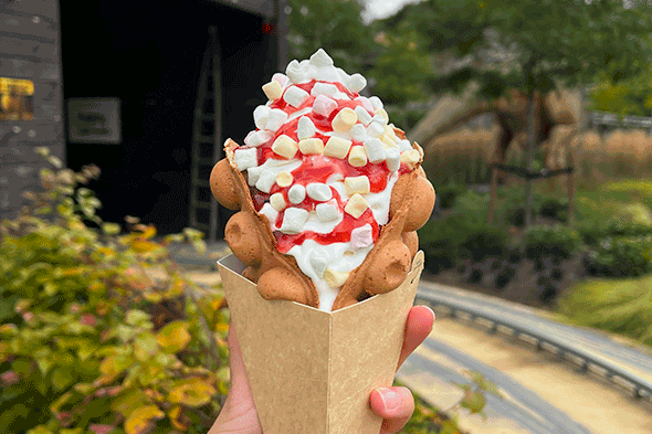 Bubblewafles 590X393